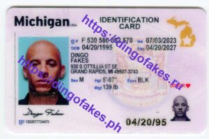 MICHIGAN IDENTIFICATION CARD(MI NEW ID)