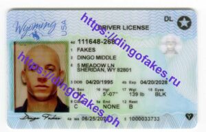 WYOMING(WY 2023 POLYCARD)