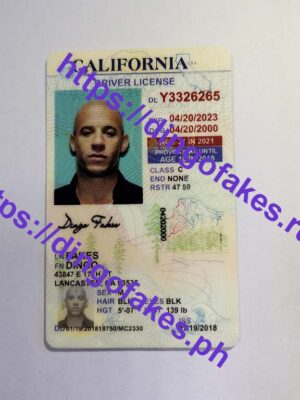 CALIFORNIA(CA U21 OLD)