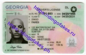 GEORGIA(GA O21 NEW 2022 POLYCARD)