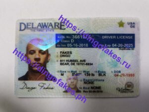 DELAWARE(DE O21 OLD)