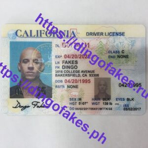 CALIFORNIA(CA O21 OLD)